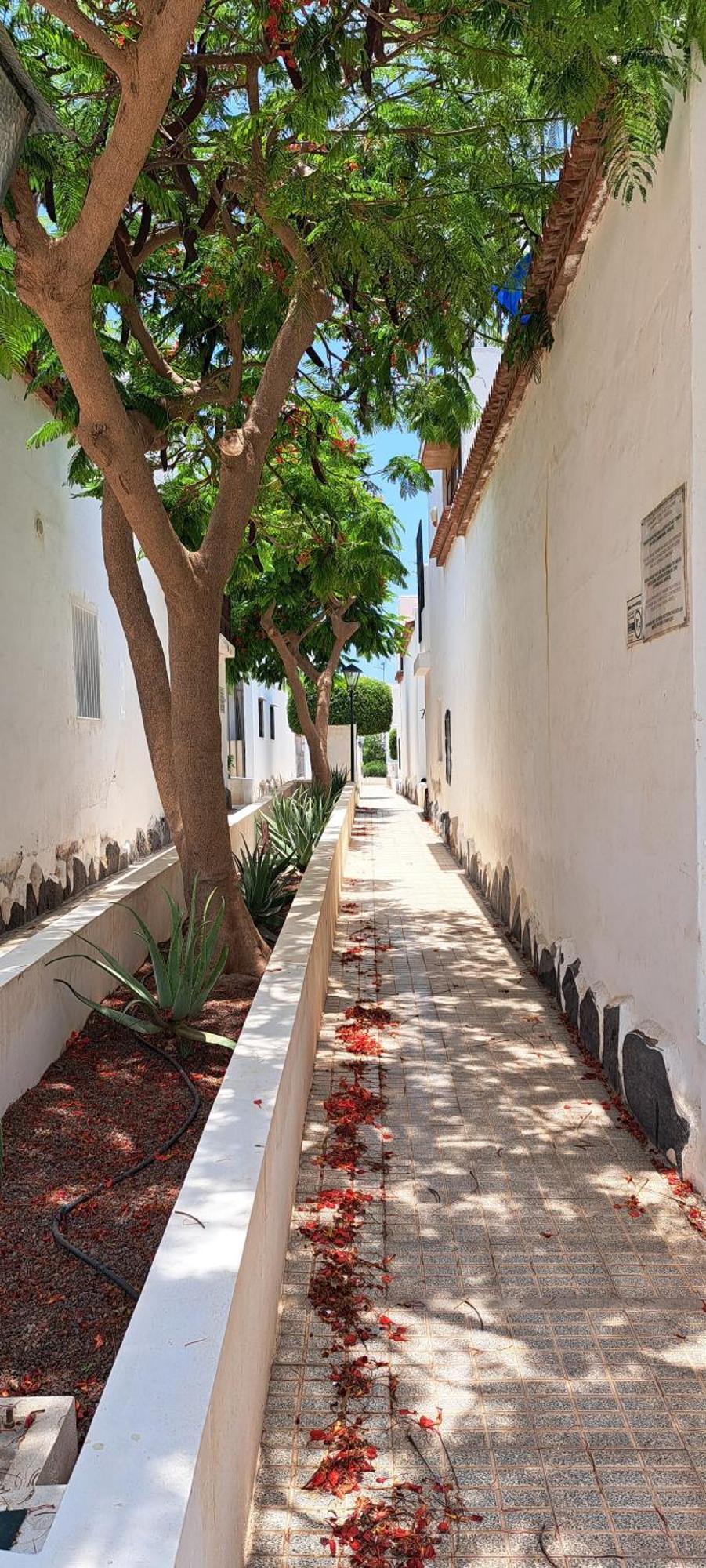 Kassisaba Appartement Costa Del Silencio Buitenkant foto